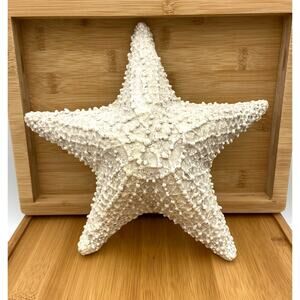 Realistic Starfish Wall Hanging or Table Decor Beach House Ocean 9 1/2"